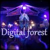 Deep prog zenon set @ Digital forest 2017