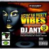 African Party Vibes Vol. 2
