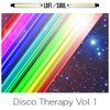 Disco Therapy Vol 1: Night Riders