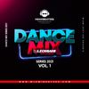 Dance Mix Series 2021 Vol 1