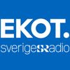 Nyheter från Ekot 2020-05-29 kl. 22.00