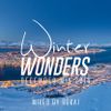 Winter Wonders (December Mix 2014) mixed by ROKAI