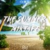 The Summer Mixtape 19 Vol. 1 feat. Tyga, Avicii, Justin Bieber, AA Anuel, Post Malone, Rae Sremmurd