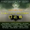Chill EDM Session 028 - The Best of 2017 by Daji Screw