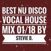 Best Nu Disco Vocal House Mix 01/18