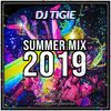 DJ TIGIE SUMMER MIX 2019 (hip-hop rnb afrobeats dancehall)