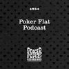 Poker Flat Podcast 75 - mixed by Steve Bug