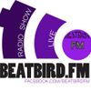BEATBIRD FM-BEAT NIGHT SESSION:NEMERE,KARÁNYI 2013.08.26
