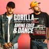 2017.07.29 - Amine Edge & DANCE @ Gorilla, Manchester, UK
