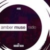 Amber Muse Radio show #005 with Bogdan Taran // 12 Oct 2016