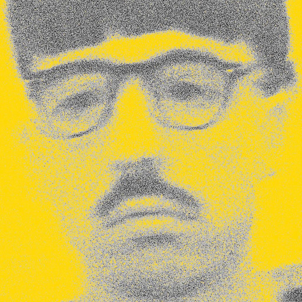 Imagem de capa para Dinossauro Mongolóide