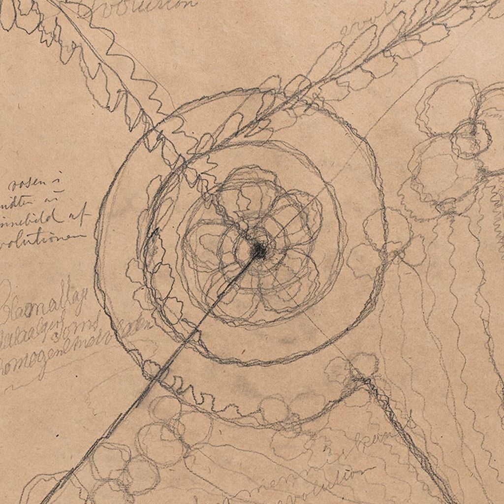 Imagem de capa para Cabelinhos