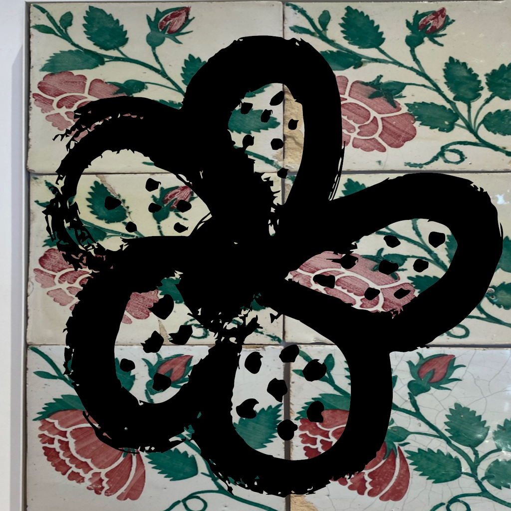 Imagem de capa para Blue Lace