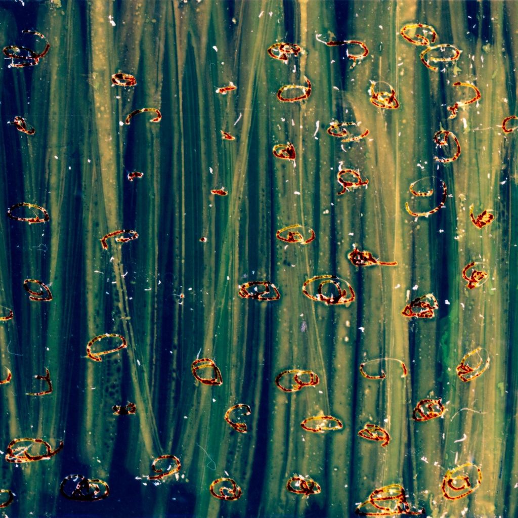 Imagem de capa para Zumbido no ouvido