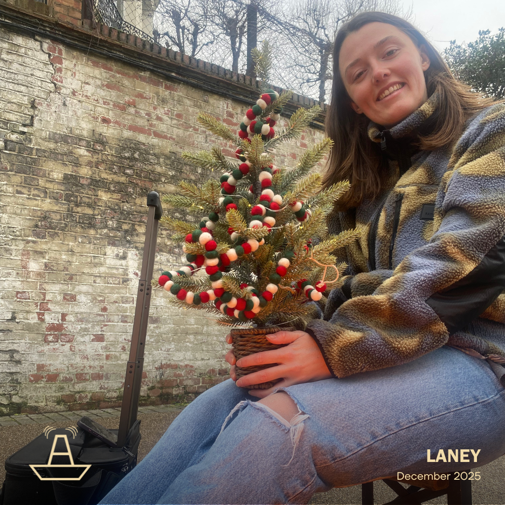 Laney | December 2025