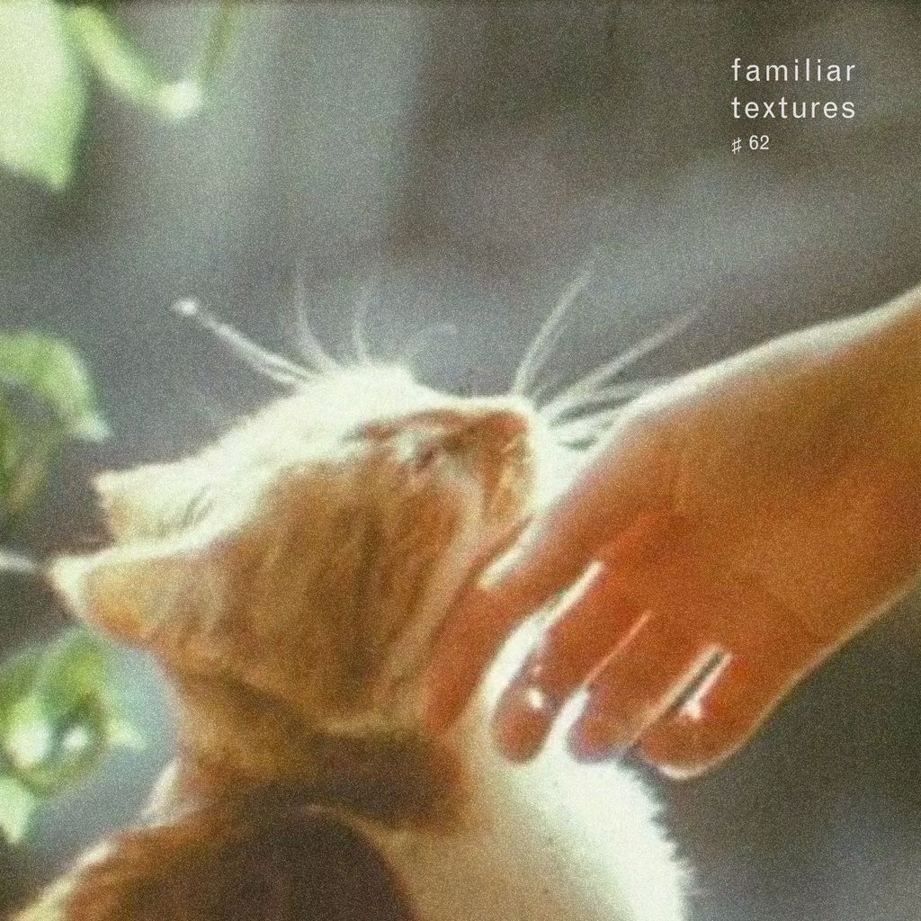 Imagem de capa para Familiar Textures