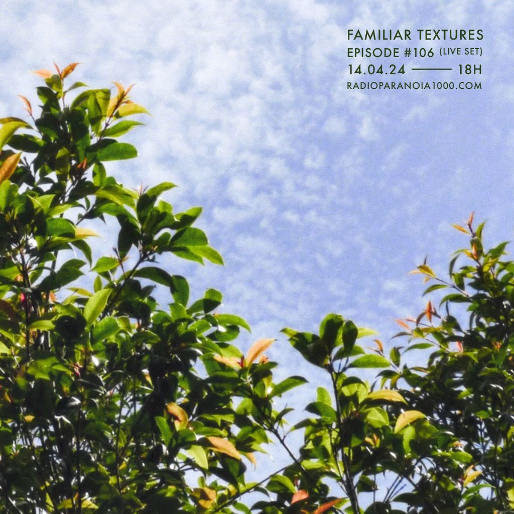 Imagem de capa para Familiar Textures