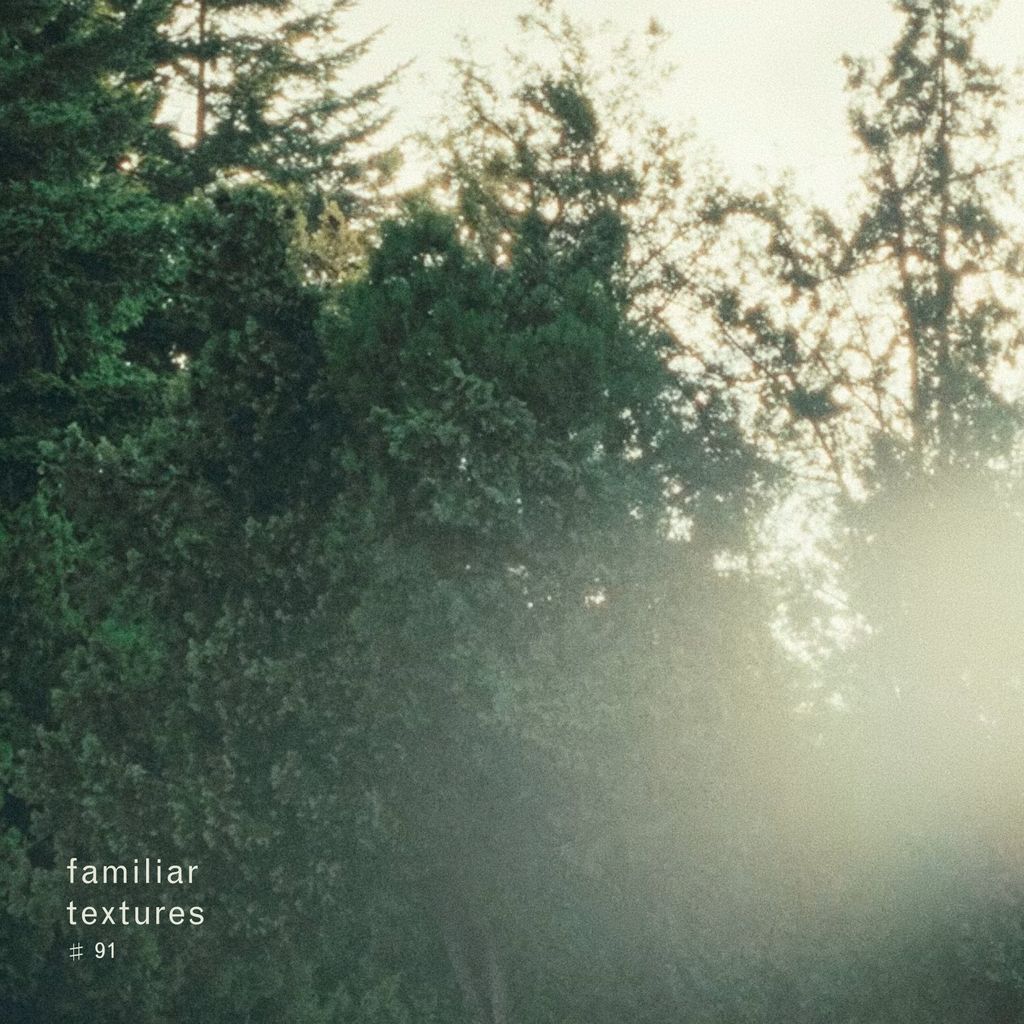 Imagem de capa para Familiar Textures