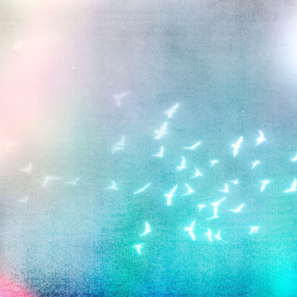 Imagem de capa para Mother of Pearl