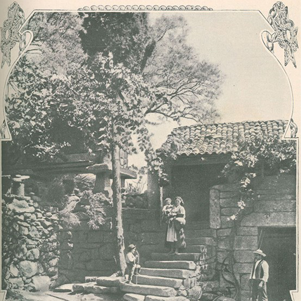 Imagem de capa para Cabelinhos