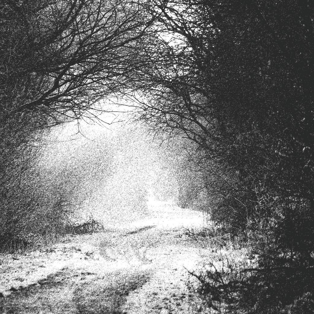Imagem de capa para Death Fire Blood