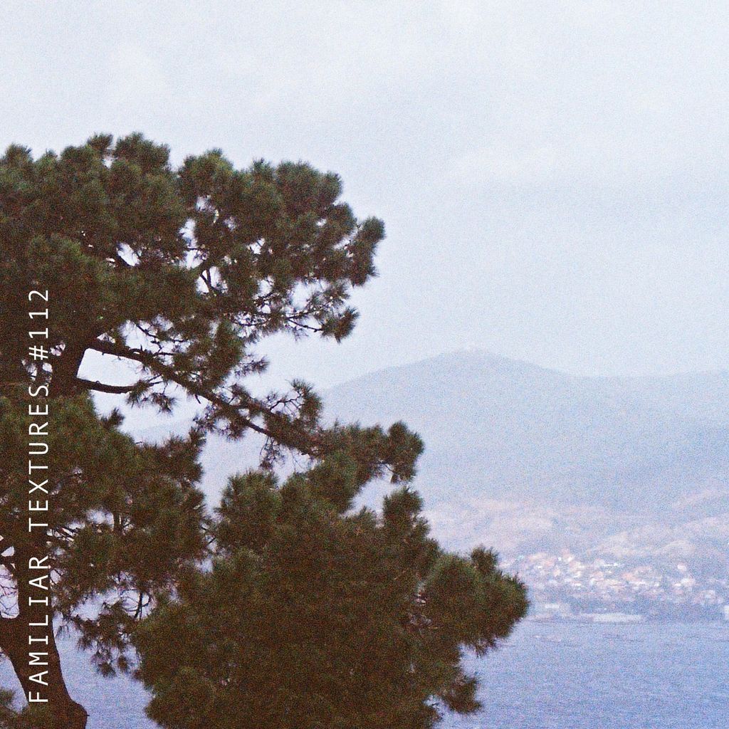 Imagem de capa para Familiar Textures