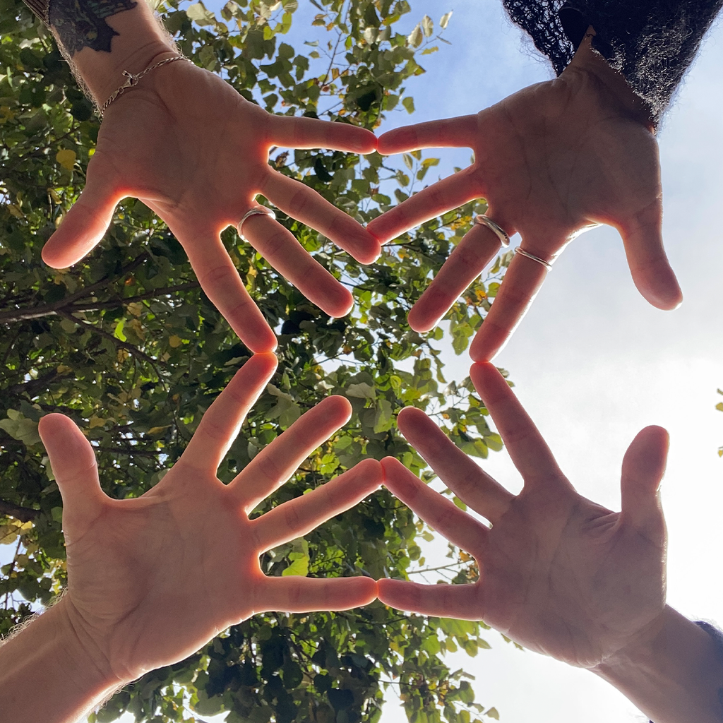 Imagem de capa para Cabelinhos