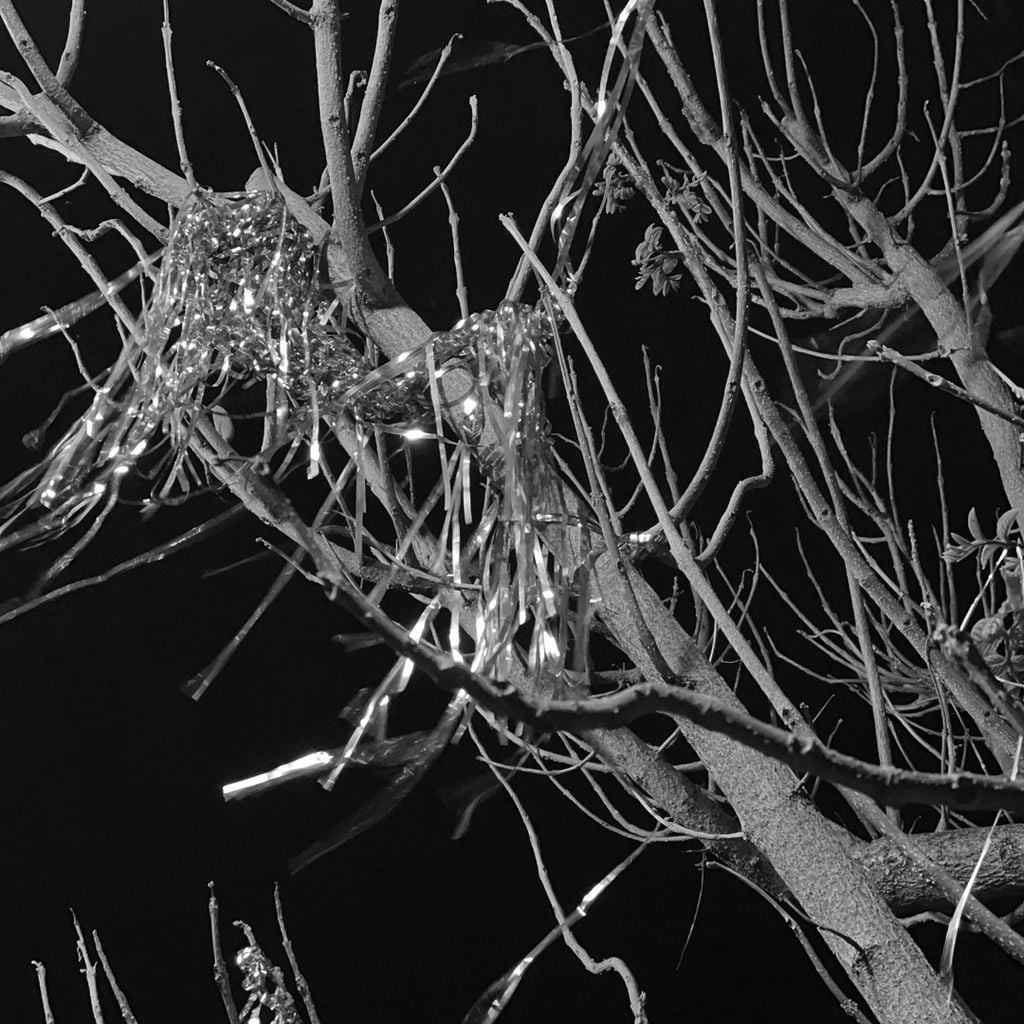 Imagem de capa para Is this insanity?