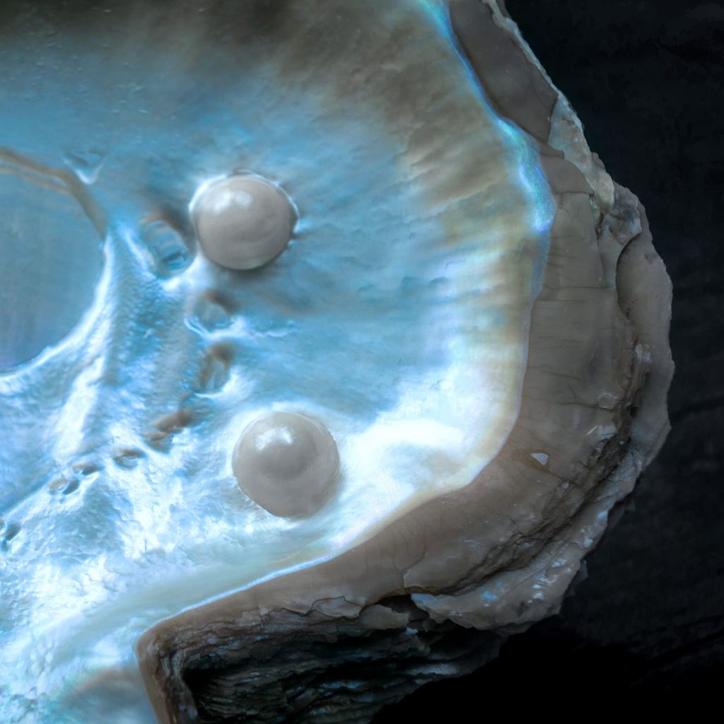 Imagem de capa para Mother of Pearl