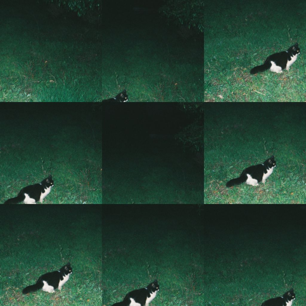 Imagem de capa para Familiar Textures