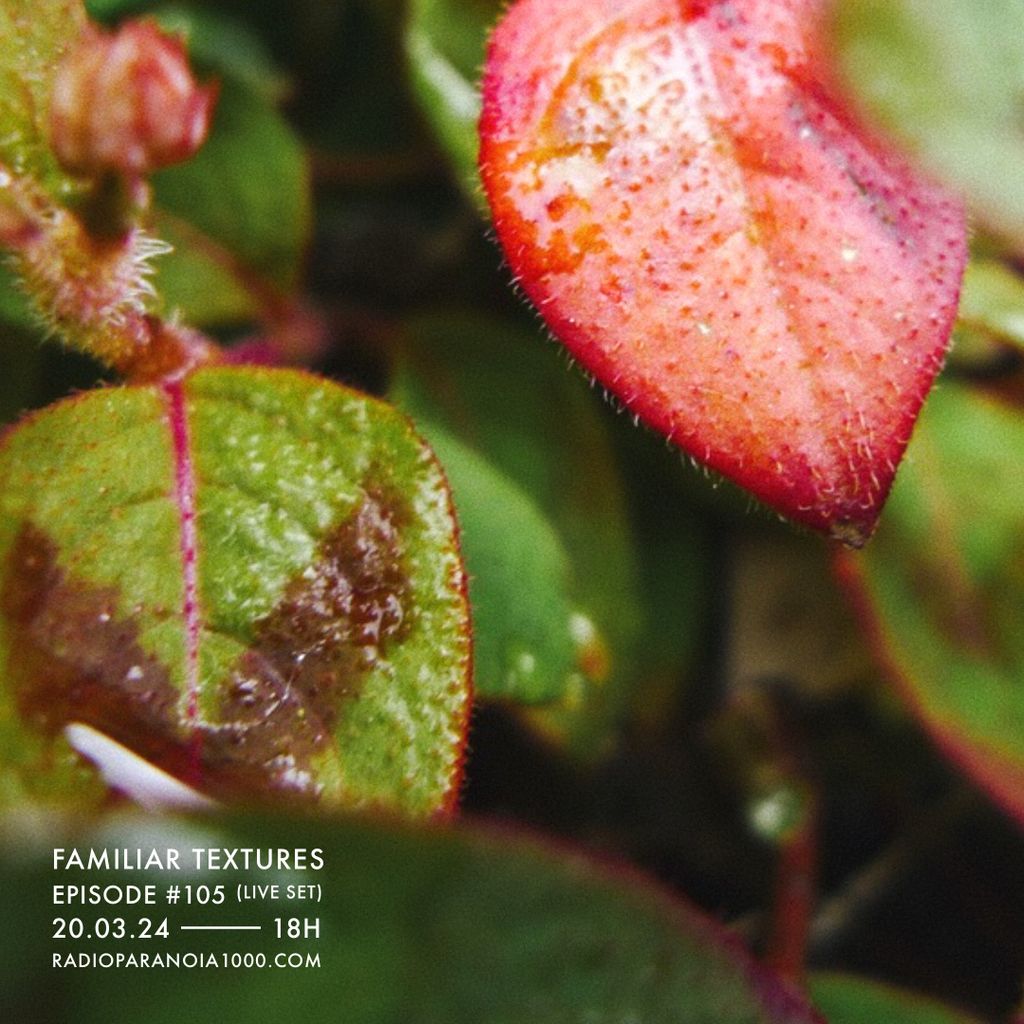 Imagem de capa para Familiar Textures