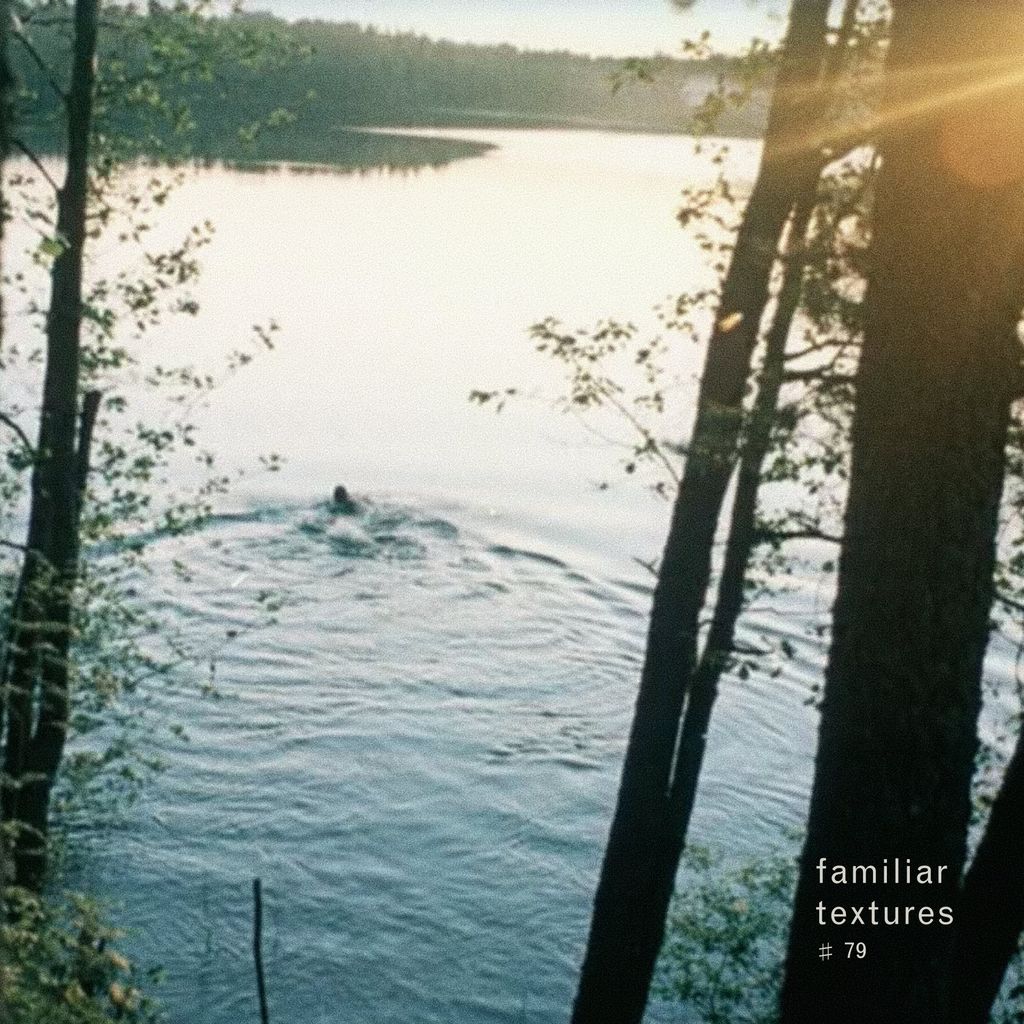 Imagem de capa para Familiar Textures