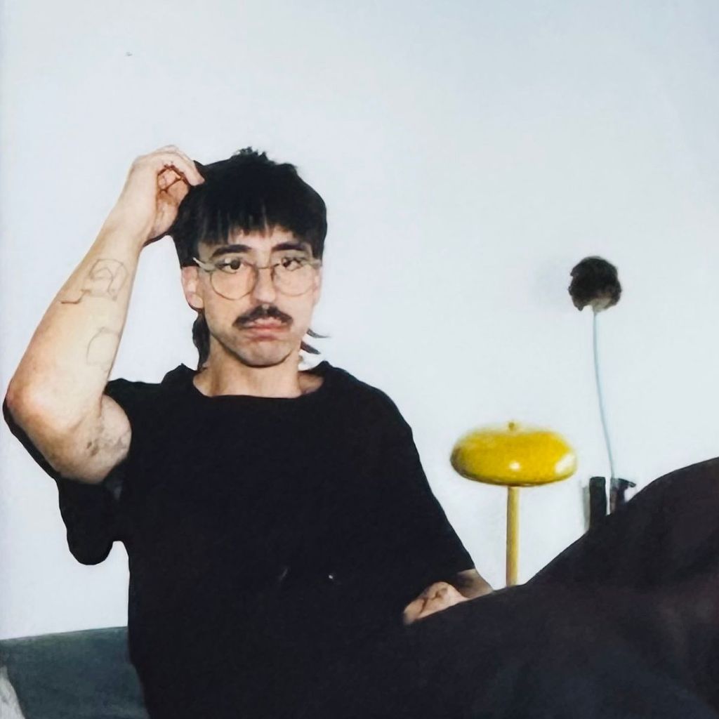 Imagem de capa para Dinossauro Mongolóide