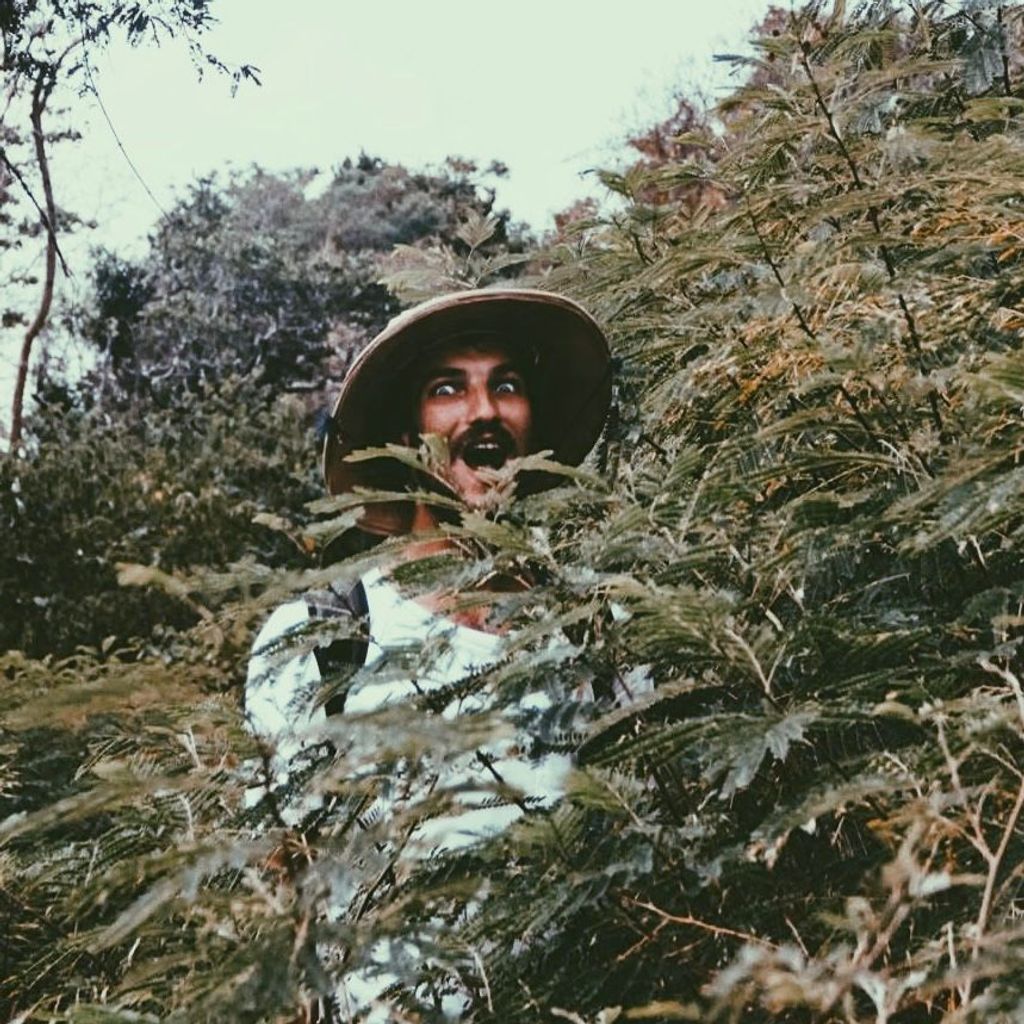 Imagem de capa para Mezcla