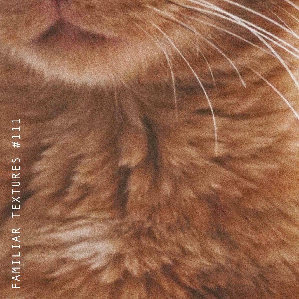 Imagem de capa para Familiar Textures