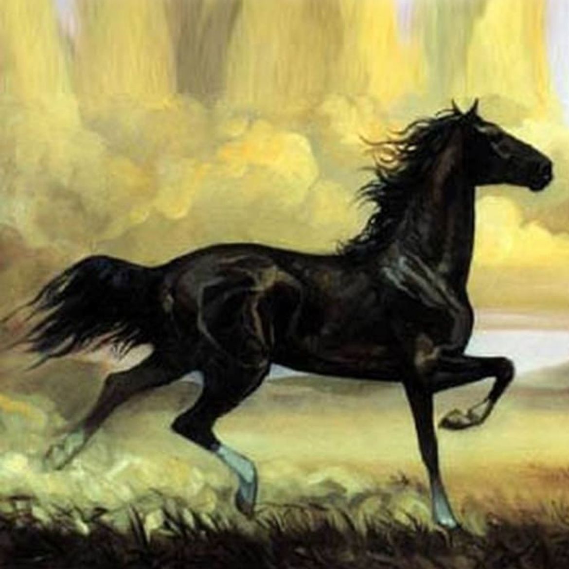 Сонник черная лошадь. Сетон Томпсон Мустанг иноходец. Лошадь Мустанг иноходец.