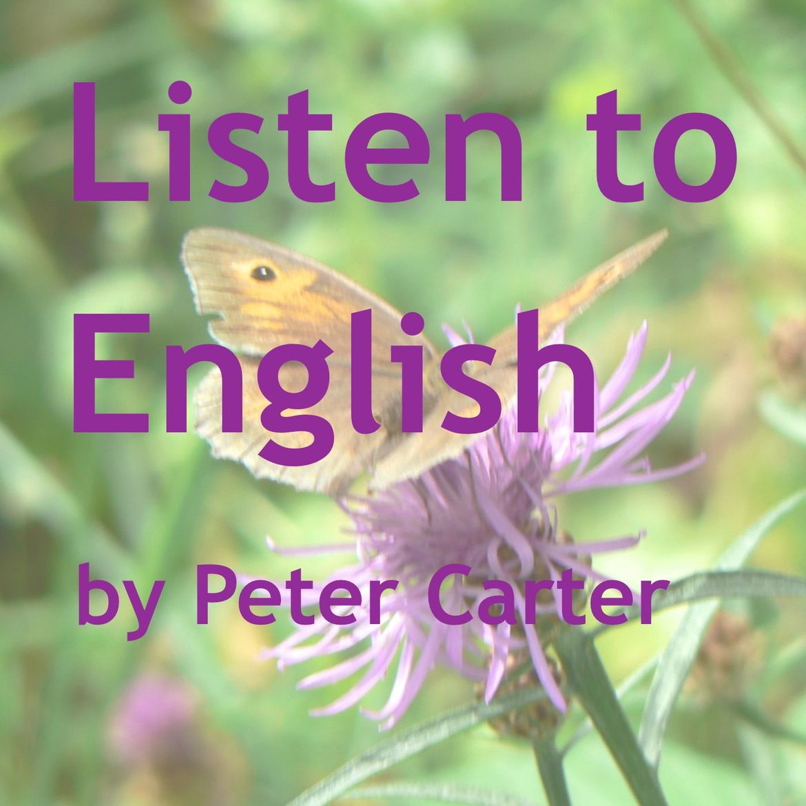 Listen на английском. Питер Картер подкасты. Listen to English.