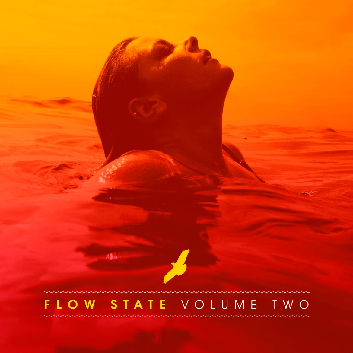 Flow state