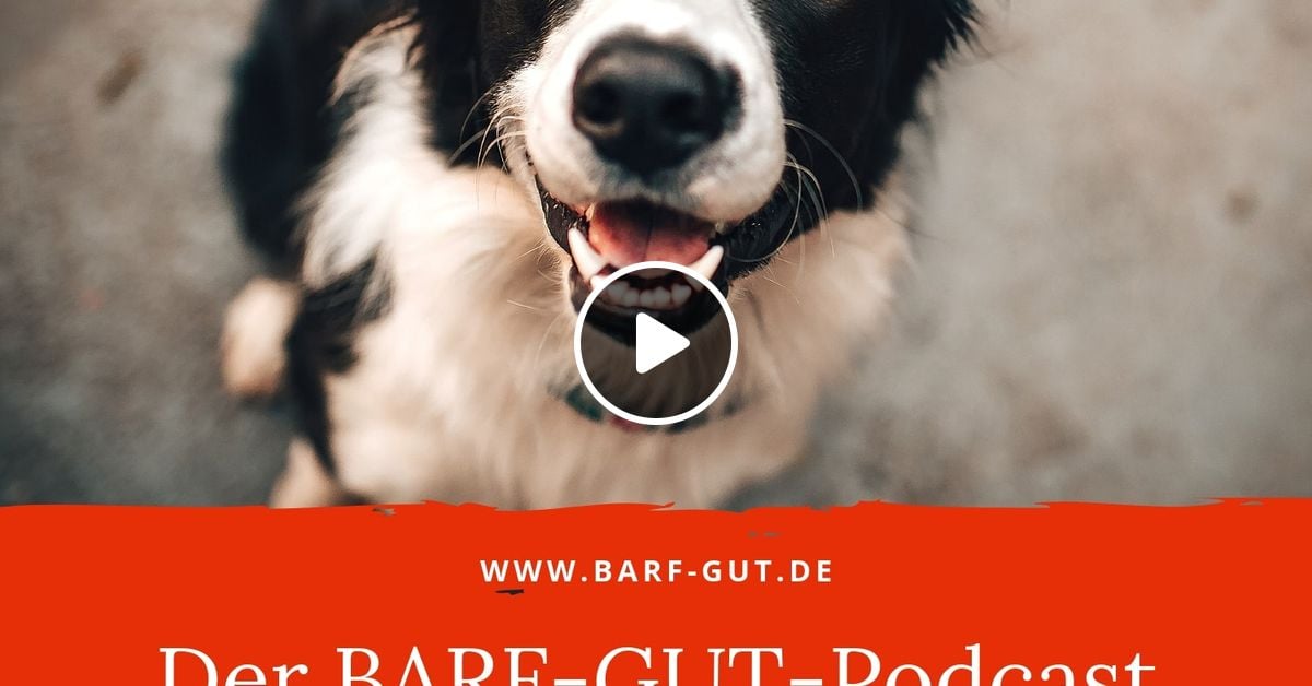 [BGP 031] Hilfe, mein Hund hat immer Hunger! by BARFGUT Der Podcast