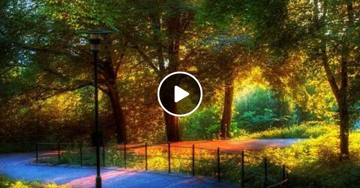 El Jardin del Eden (Serie Lugares que Cambiaron la Historia) by