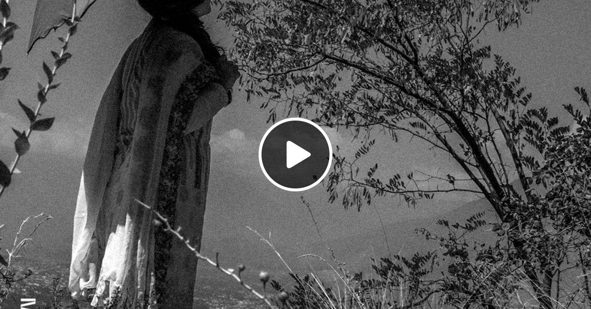 The Black Rabbit In Kashmir | The Trip Series by Funkologie | Mixcloud