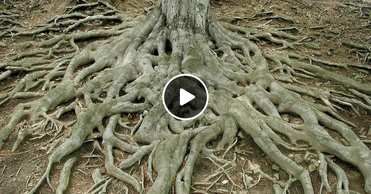 Dagger Sound - Roots & Culture Mix by Dagger_Sound | Mixcloud