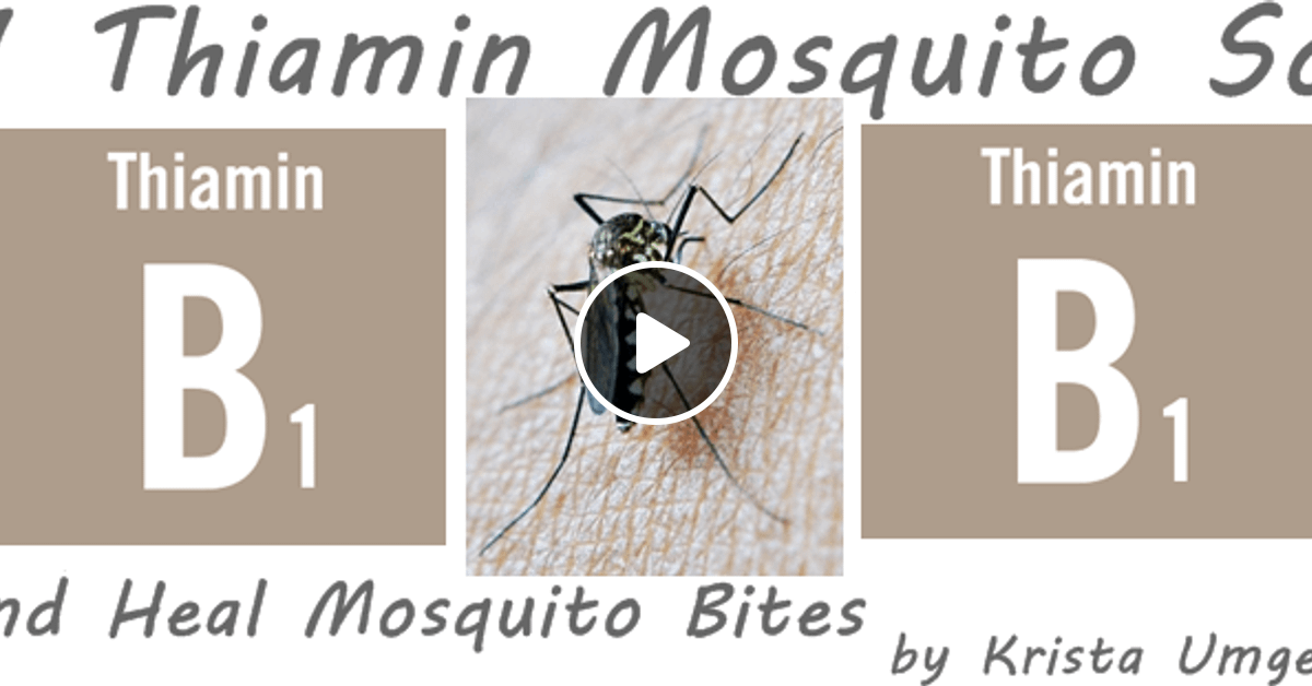 The B1 Thiamin Mosquito Solution Prevent & Heal Mosquito Bites by