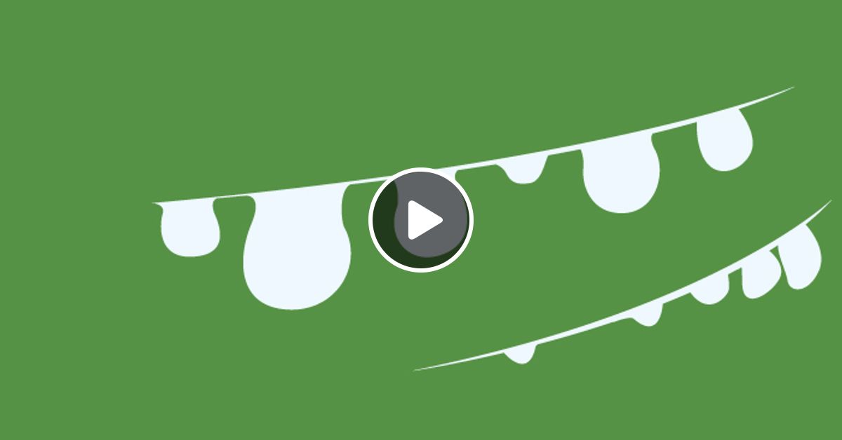 Papaver Somniferum By Dearquentin Mixcloud