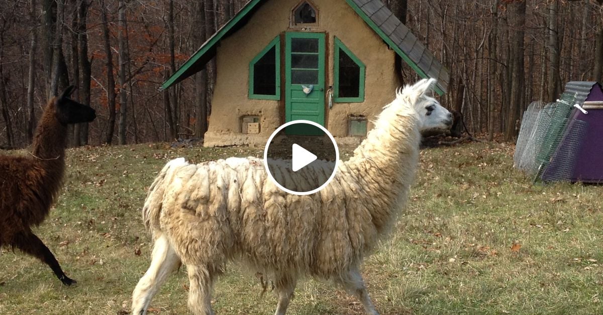 Inward Silence, Outward Cry Aired 2025-08-02 episode 273 WAKT 106.1 ...