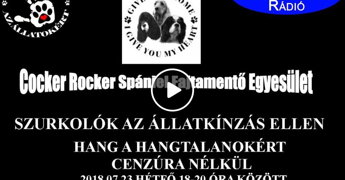 Szurkolok Az Allatkinzas Ellen Hang A Hangtalanokert 2018 07 23 By Sztrada Radio Mixcloud