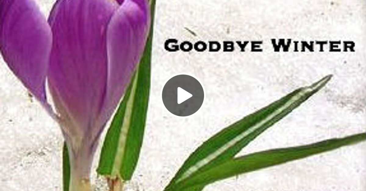 DJ Zazoo Goodbye Winter (032015) Ambient Chillout Mix by DJ Zazoo