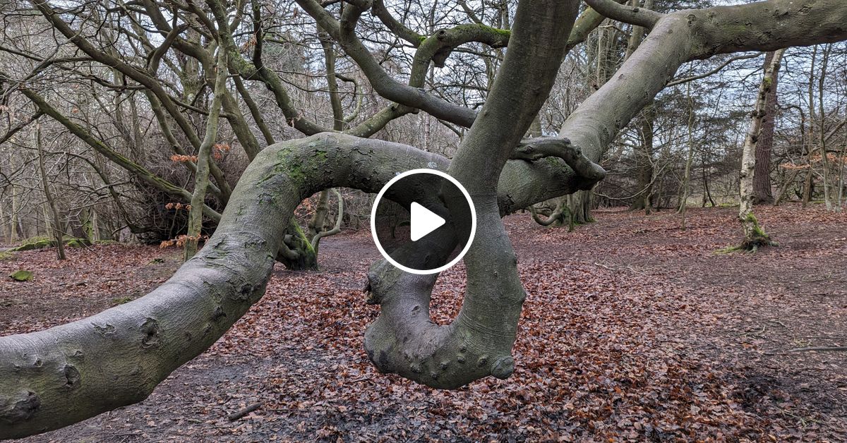 Full Circle By Eclectric Beats Mixcloud