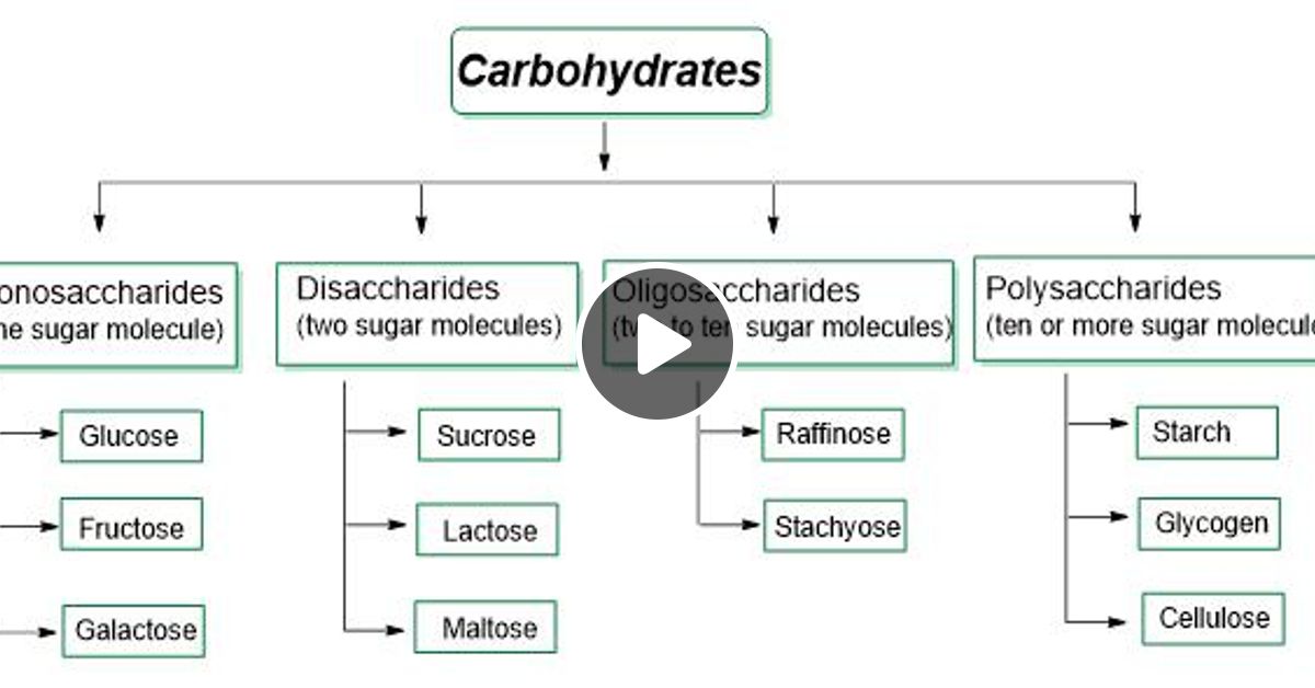 carbohydrate synthesis by AdaBron Mixcloud
