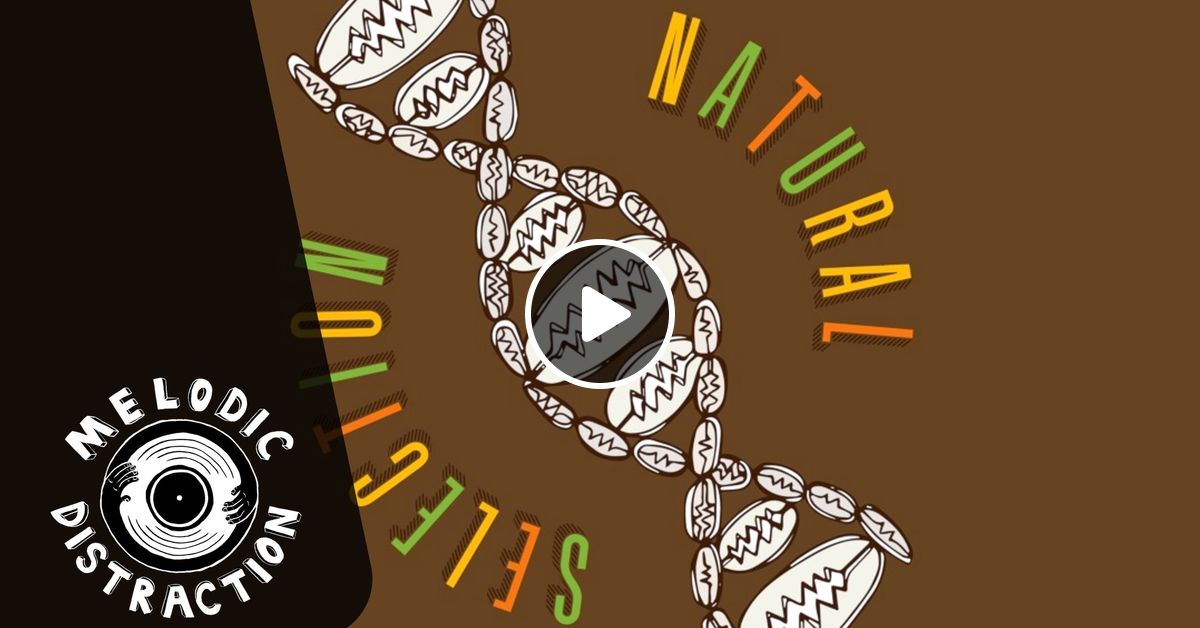 Natural Selection With Sticky Dub May 20 By Melodic Distraction Mixcloud natural selection with sticky dub may